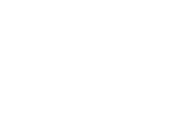 Nexus Bridge